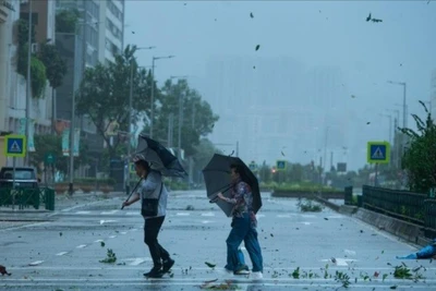 Cơ quan khí tượng thủy văn Macau (Trung Quốc) đã nâng cảnh báo bão Wipha lên cấp 10 – mức cao nhất. (Ảnh: Tân Hoa xã)