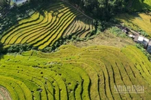 Ruộng bậc thang Bình Liêu, Quảng Ninh nhìn từ trên cao. (Ảnh: QUỐC TOẢN)