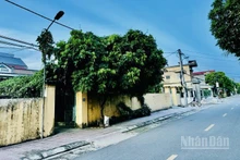 Đất nền đang là phân khúc tăng trưởng mạnh nhất của thị trường bất động sản những tháng đầu 2025 này. (Ảnh: HNV)
