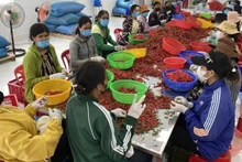 Đối tượng điều tra gồm: Lao động tham gia hoạt động nông, lâm, thuỷ sản; Hộ dân cư tham gia hoạt động nông, lâm, thuỷ sản; Trang trại, doanh nghiệp, hợp tác xã tham gia hoạt động nông, lâm, thuỷ sản; Ủy ban nhân dân xã. (Ảnh: HNV)
