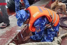 [Video] Bắt giữ tàu vận chuyển trái phép 50.000 lít dầu trên vùng biển Tây Nam