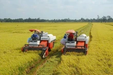 Cơ giới hoá đồng bộ trong sản xuất lúa tại huyện Yên Khánh. (Ảnh: Yến Trinh)