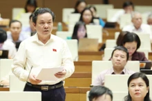 Đại biểu Quốc hội lo ngại nhà đầu tư làm đường sắt nhưng mục tiêu chính là để phát triển dự án TOD