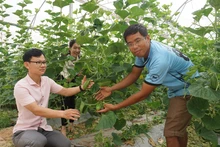 Anh Trần Xuân Đăng (bên phải) giới thiệu về cơ chế phát triển của cây dưa. (Ảnh Văn Học)