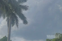 Dự báo khu vực Bắc Bộ và Thanh Hóa đến Hà Tĩnh có mưa rào và dông. (Ảnh minh họa: Đ.T)