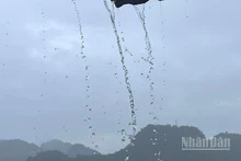 Dự báo khu vực vùng núi Bắc Bộ có mưa rào và dông rải rác, cục bộ có nơi mưa to. (Ảnh minh họa: Đ.T)