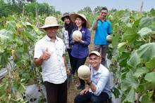 Người nông dân Indonesia được khuyến khích ứng dụng mô hình sản xuất nông nghiệp bền vững.