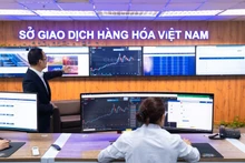 MXV - tổng kết thị phần môi giới quý II năm 2025.