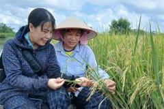 [Video] Quảng Ninh đột phá trong công tác giảm nghèo bền vững