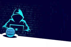 Cảnh báo từ những vụ tấn công mạng đình đám: Lỗ hổng nằm đâu?