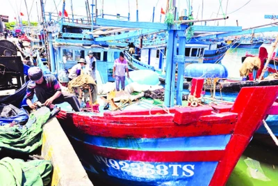 Ngư dân tỉnh Đắk Lắk chuẩn bị nhu yếu phẩm vươn khơi bám biển dài ngày khai thác cá ngừ đại dương.