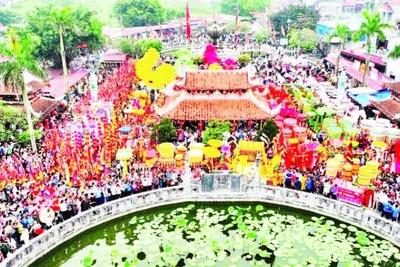 Mỗi năm, lễ hội Phủ Dầy, tỉnh Ninh Bình thu hút lượng lớn du khách.