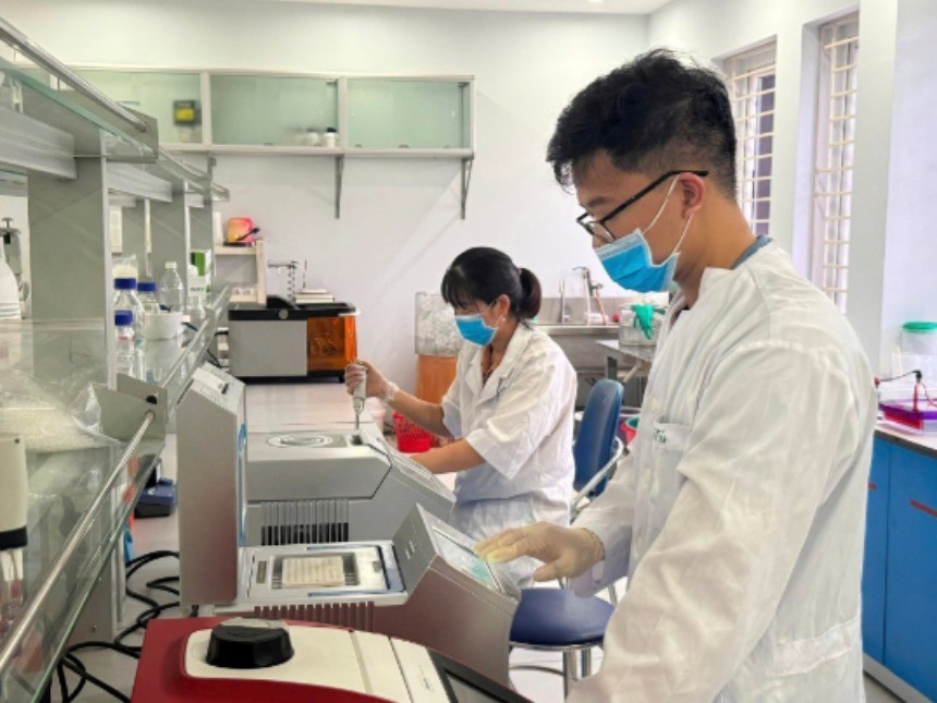Nghiên cứu chọn tạo giống tại Viện Cây lương thực và Cây thực phẩm. (Ảnh HÀ LINH)