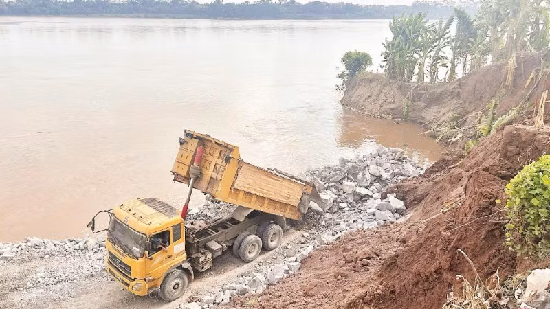 Gia cố bờ sông Thao qua xã Tam Nông, tỉnh Phú Thọ bị sạt lở nghiêm trọng. (Ảnh: NGỌC LONG)