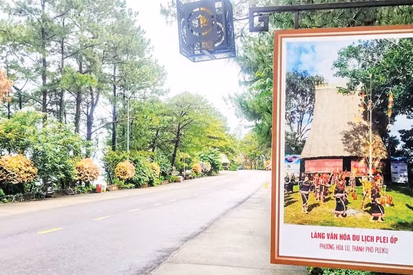 Hương đất ẩm và mùi nhựa thông quyện vào nhau, mang đến cảm giác vừa trong lành, vừa ấm áp.