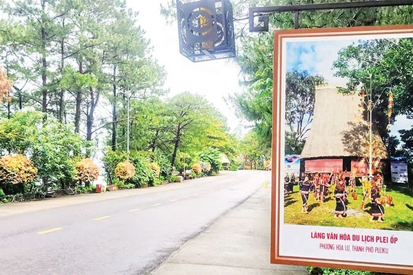 Hương đất ẩm và mùi nhựa thông quyện vào nhau, mang đến cảm giác vừa trong lành, vừa ấm áp.