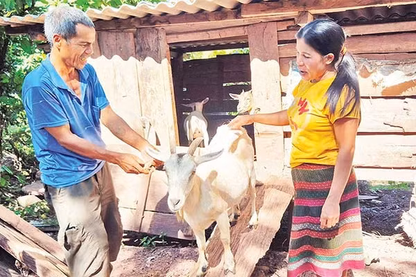 Chị Hồ Thị Dắt thường xuyên đến từng nhà dân, động viên bà con vượt khó vươn lên.