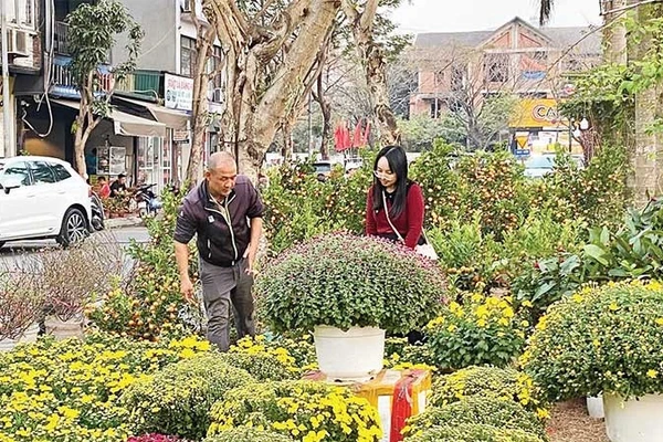 Người dân mua sắm hoa, cây cảnh chơi Tết sớm.