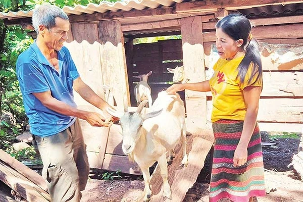 Chị Hồ Thị Dắt thường xuyên đến từng nhà dân, động viên bà con vượt khó vươn lên.