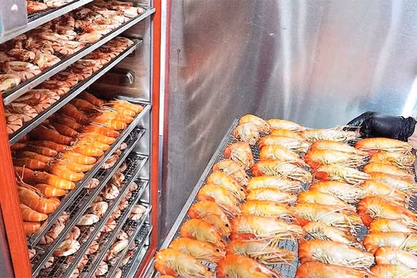 Từng con tôm càng được xếp ngay ngắn trên khay sấy. Kỹ thuật điều chỉnh nhiệt độ và thời gian là bí quyết để sản phẩm khô mà vẫn không bị bở hay mất chất.