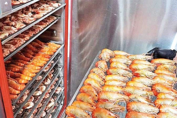 Từng con tôm càng được xếp ngay ngắn trên khay sấy. Kỹ thuật điều chỉnh nhiệt độ và thời gian là bí quyết để sản phẩm khô mà vẫn không bị bở hay mất chất.