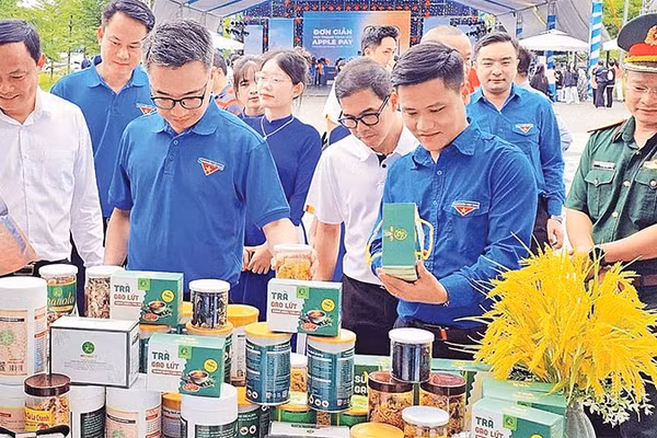 Nhiều sản phẩm OCOP đặc sắc của Nghệ An được khách hàng quan tâm tại các hội chợ.