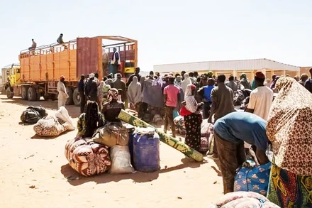 Bất chấp nguy hiểm, hàng nghìn người vẫn vượt sa mạc đến châu Âu. Ảnh: IOM