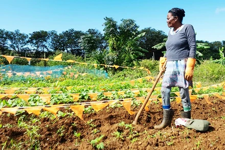 Latouche canh tác trên trang trại, Ảnh: THE GUARDIAN