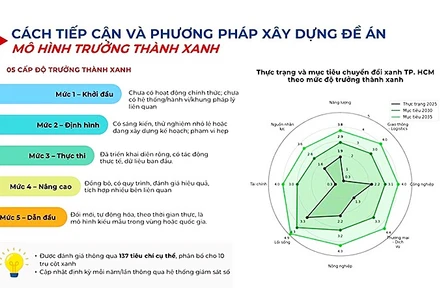 Mô hình trưởng thành xanh được nêu ra trong đề án. Ảnh chụp màn hình từ báo cáo đề án.
