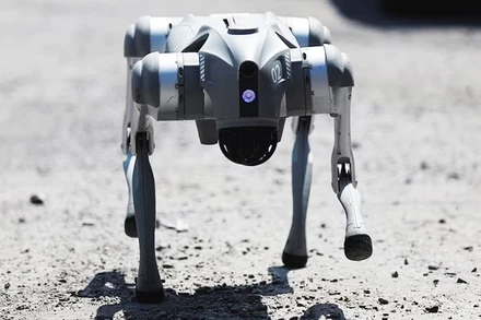 "Tuyên truyền viên robot"