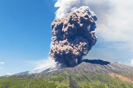 Tro núi lửa Etna trở thành tài nguyên bền vững cho nông nghiệp. Ảnh: AFP 