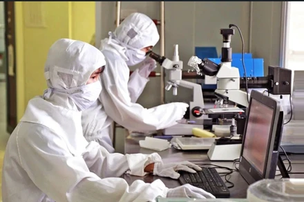 Hoạt động nghiên cứu tại Khu công nghệ cao Hòa Lạc. Ảnh: HOÀI NAM