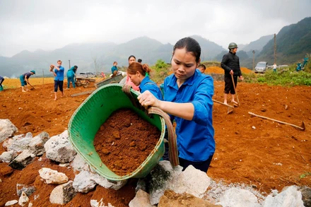“Thiên đường” bất ly hương (Kỳ 4)
