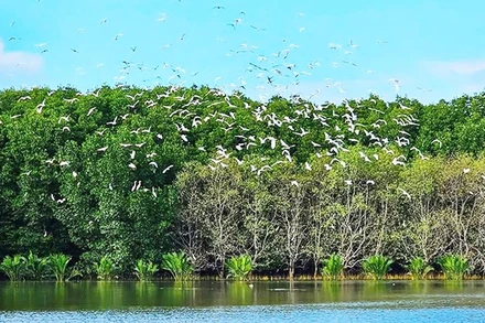 Đến nơi thiên nhiên kể chuyện