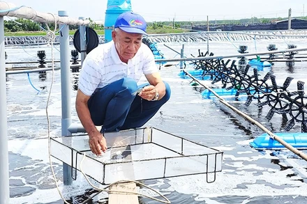 Nông dân Lê Văn Sấm đầu tư phát triển mô hình trang trại trong nuôi tôm công nghệ mang lại hiệu quả kinh tế cao.
