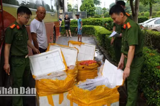 476kg nội tạng và các sản phẩm của động vật không rõ nguồn gốc được phát hiện trên xe khách biển kiểm soát 25F-002.09.