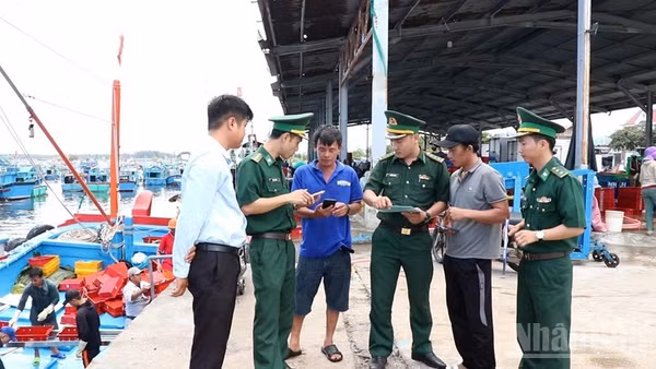 Các cơ quan chức năng và chính quyền địa phương tỉnh Khánh Hòa siết chặt quản lý, xử lý nghiêm mọi hành vi vi phạm, hướng tới mục tiêu cùng cả nước sớm gỡ bỏ cảnh báo “thẻ vàng” IUU. (Ảnh: NGUYỄN TRUNG)