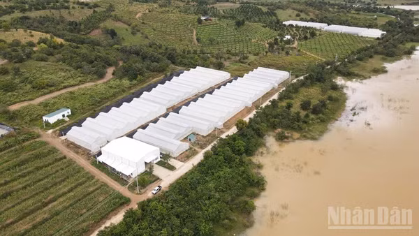 Một góc nông trại Chapor Farm, thôn Ma Ty, xã Bác Ái Tây, tỉnh Khánh Hòa. (Ảnh: NGUYỄN TRUNG)