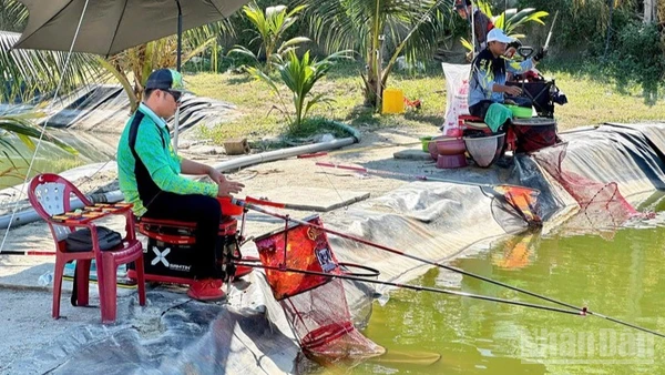 Nhiều người yêu thích câu cá để giải trí tìm đến khu câu cá Quốc Cường ngày càng đông. (Ảnh: NGUYỄN TRUNG)