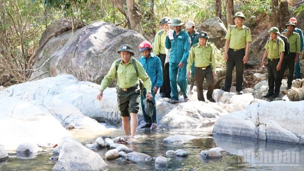 Lực lượng Hạt Kiểm lâm rừng đặc dụng Phước Bình, ở xã Bác Ái Tây (Khánh Hòa) xuất quân tuần tra, bảo vệ rừng trong những ngày Tết Bính Ngọ 2026. (Ảnh: NGUYỄN TRUNG)