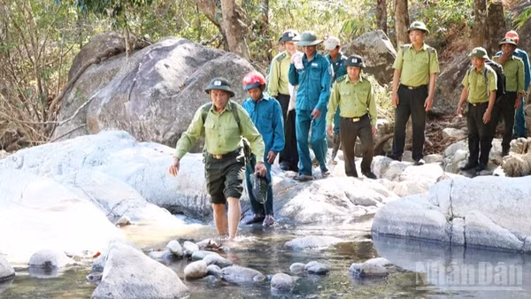 Lực lượng Hạt Kiểm lâm rừng đặc dụng Phước Bình, ở xã Bác Ái Tây (Khánh Hòa) xuất quân tuần tra, bảo vệ rừng trong những ngày Tết Bính Ngọ 2026. (Ảnh: NGUYỄN TRUNG)