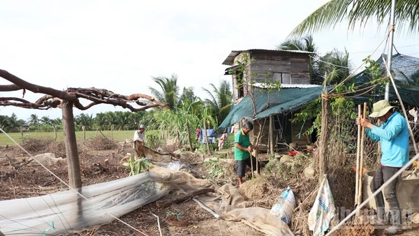 Ông Trịnh Minh Trung, thôn Ninh Quý 3, xã Phước Hậu (Khánh Hòa) thuê 3 công đến dọn lại vườn tược sau mưa lũ. (Ảnh: NGUYỄN TRUNG)