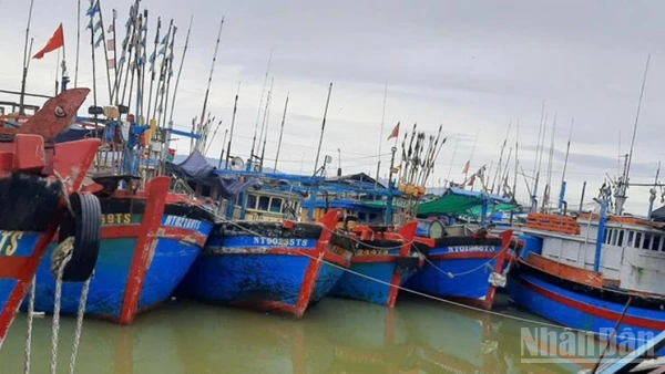 Vùng neo đậu tàu tại cảng cá Đông Hải, tỉnh Khánh Hòa, đã thu hẹp nhiều do bị cát đất bồi lắng nhiều năm qua. (Ảnh: NGUYỄN TRUNG)