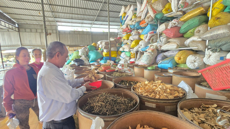 Lương y Nguyễn Văn Chiến bốc thuốc cho người bệnh. 1000014583.jpg