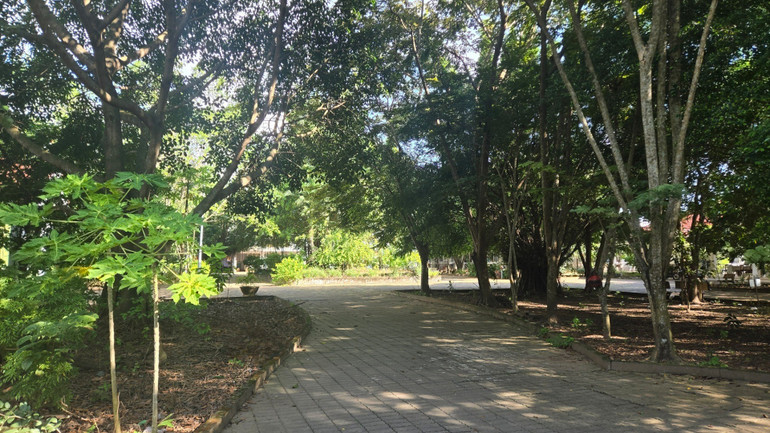 Khuôn viên xanh mát của trung tâm. 1000016146.jpg