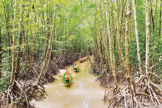 Rừng phòng hộ mũi Cà Mau - “bức tường xanh” góp phần giảm thiểu tính cực đoan của biến đổi khí hậu. (Ảnh: NSNA Phương Bằng)
