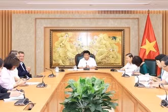 Phó Thủ tướng Nguyễn Chí Dũng làm việc với Tập đoàn Avestos, Cộng hòa Liên bang Đức. (Ảnh: Tuấn Anh/TTXVN) 
