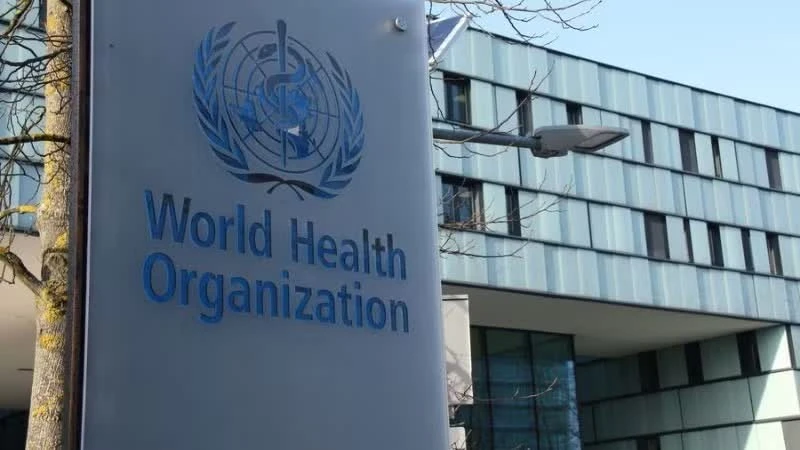 WHO và các nước tăng cường giám sát virus Hanta, tránh hoang mang