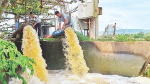 Trạm bơm Bến Lội, xã Phú Hòa 2, tỉnh Đắk Lắk hoạt động hết công suất.