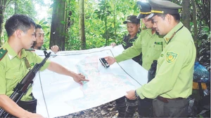 Cán bộ Hạt Kiểm lâm khu vực V, Chi cục Kiểm lâm tỉnh Tuyên Quang ứng dụng công nghệ xác định tọa độ, phục vụ công tác tuần tra, bảo vệ rừng.